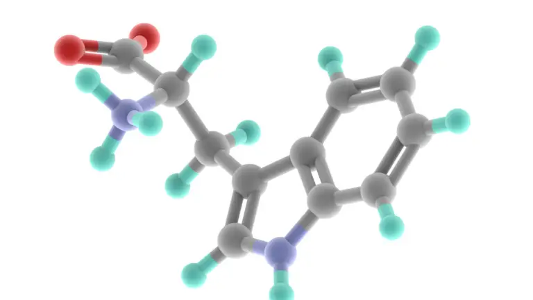 soy tryptophan