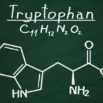 Tryptophan metabolism and vitamin D status